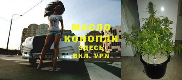 сатива Алексеевка