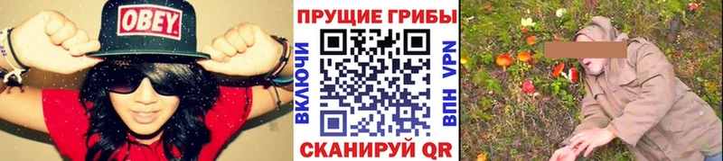 Галлюциногенные грибы Magic Shrooms  кракен ССЫЛКА  Минусинск  где купить наркотик 