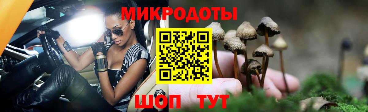 Псилоцибиновые грибы Psilocybine cubensis Минусинск